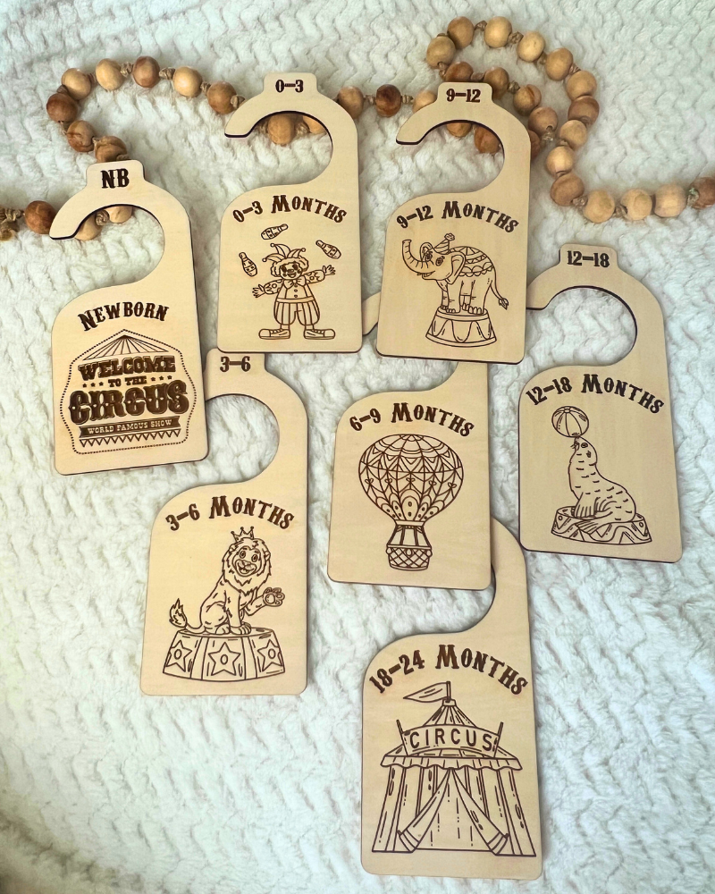 Welcome to the Circus Nursery Closet Organizers