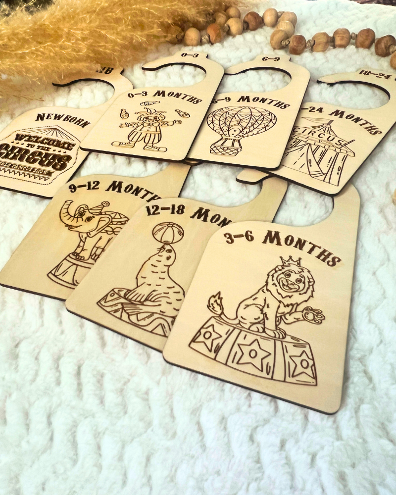 Welcome to the Circus Nursery Closet Organizers