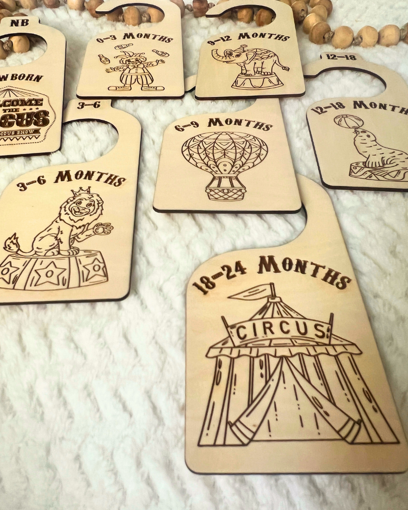 Welcome to the Circus Nursery Closet Organizers