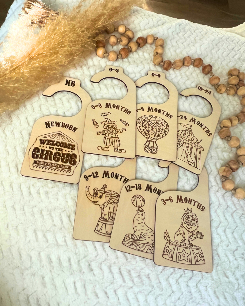 Welcome to the Circus Nursery Closet Organizers