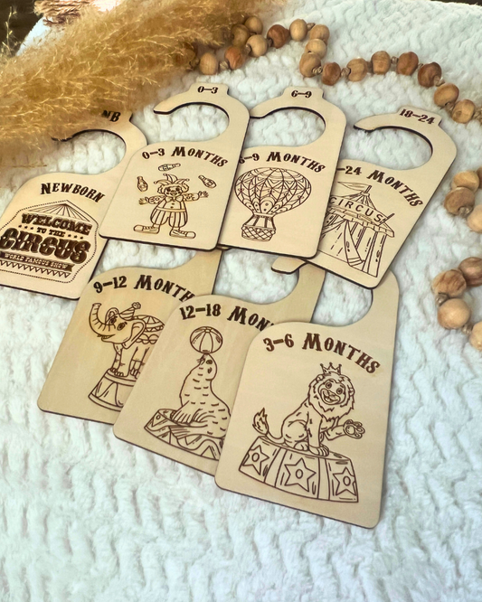 Welcome to the Circus Nursery Closet Organizers